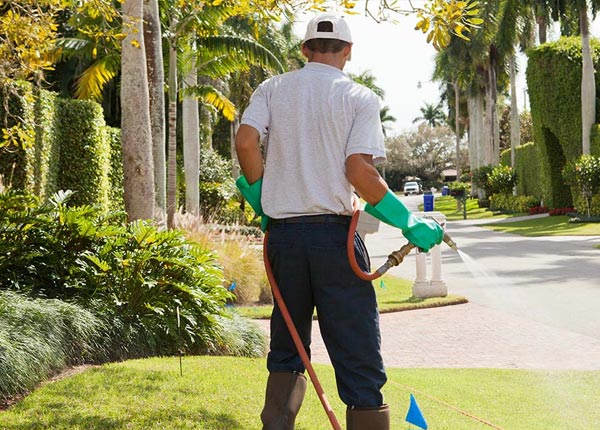 About Inland NE Pest Control
